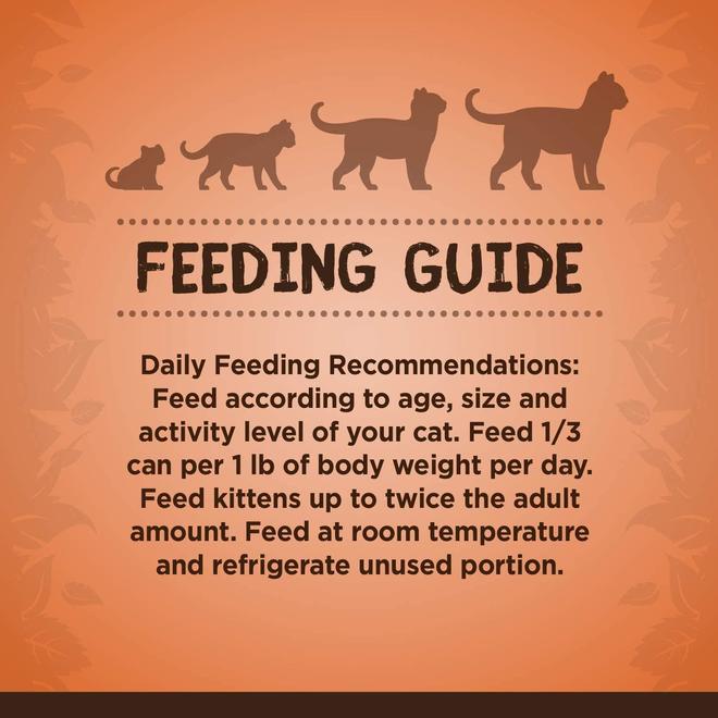 Pate Wet Food With Fresh Turkey For Cats - 85 G (3 Oz) - Zoë