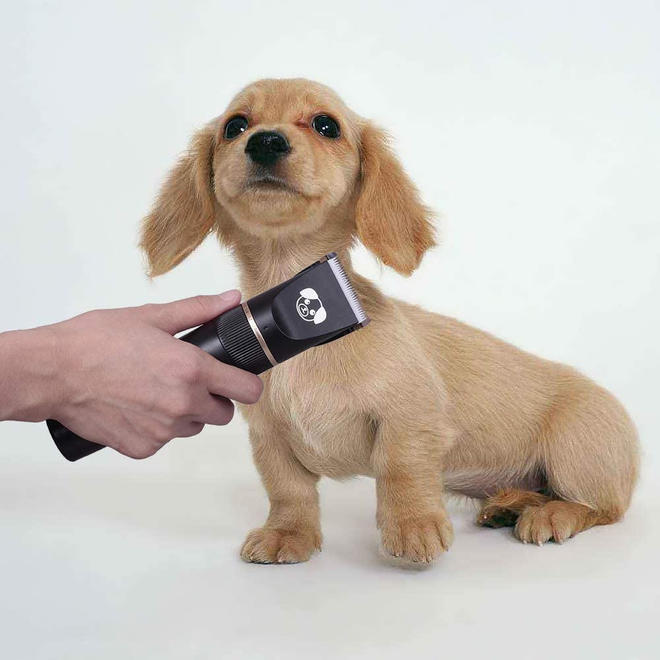 Professional Low Noise Rechargeable Cordless Pet Hair Clippers For Cat & Dog, Black - LIVINGbasics®