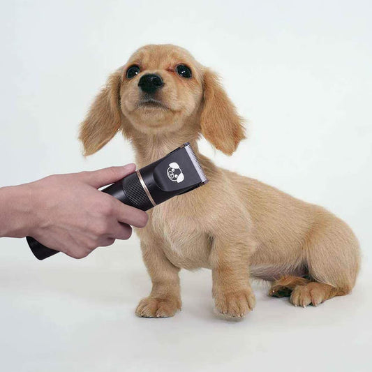 Professional Low Noise Rechargeable Cordless Pet Hair Clippers For Cat & Dog, Black - LIVINGbasics®