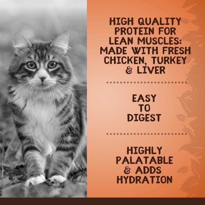 Pate Wet Food With Fresh Turkey For Cats - 85 G (3 Oz) - Zoë